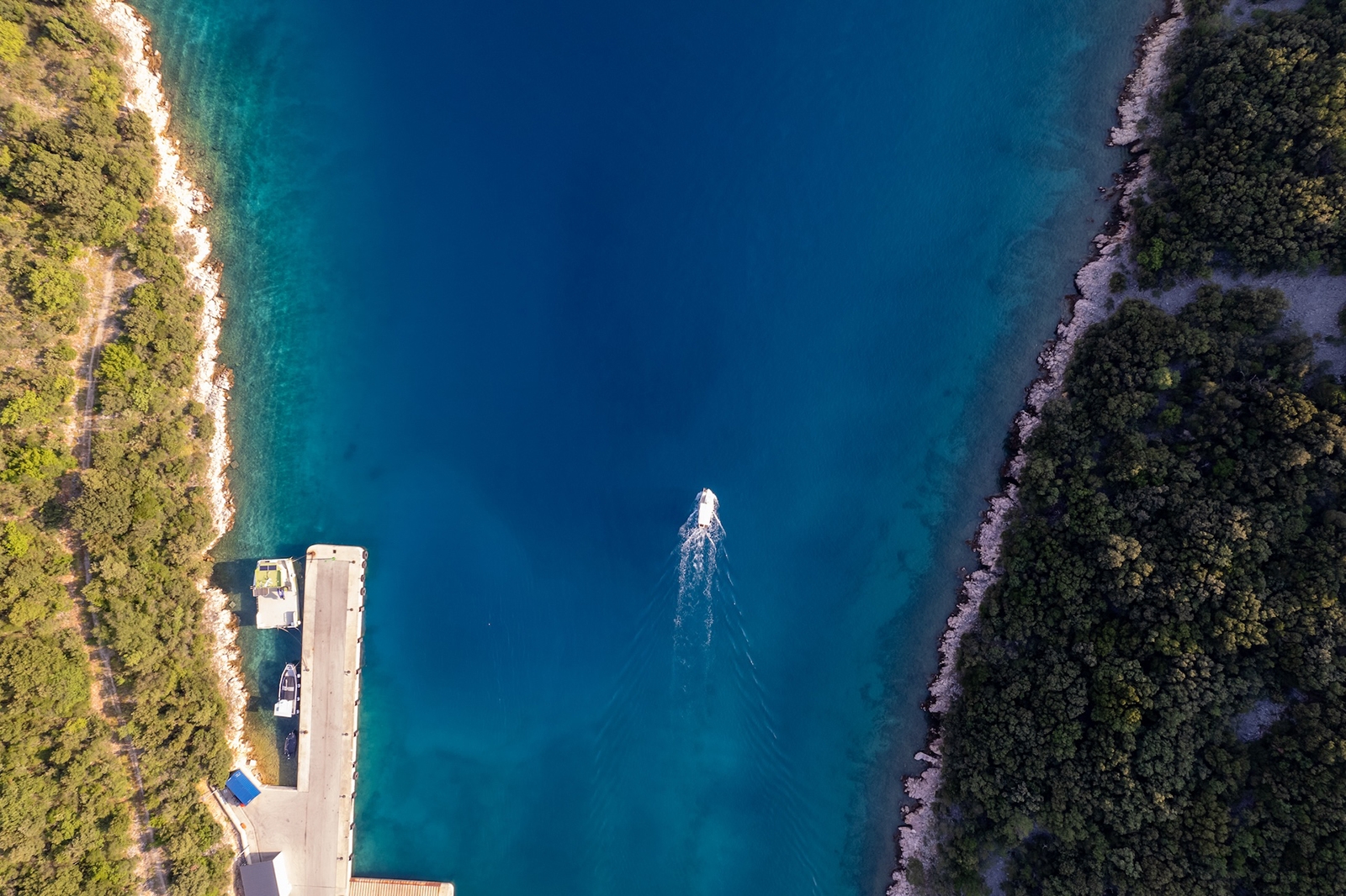 Daily catch from the Kvarner Bay