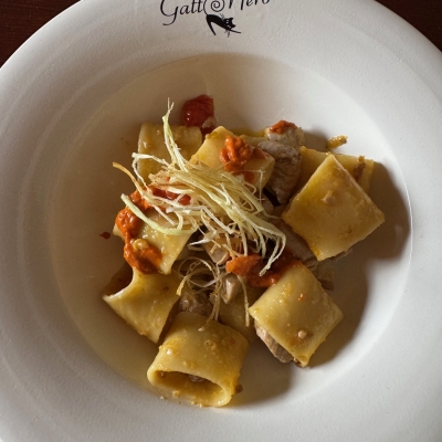 Mezzi Paccheri s crvenom tunom i pestom Ragusanom